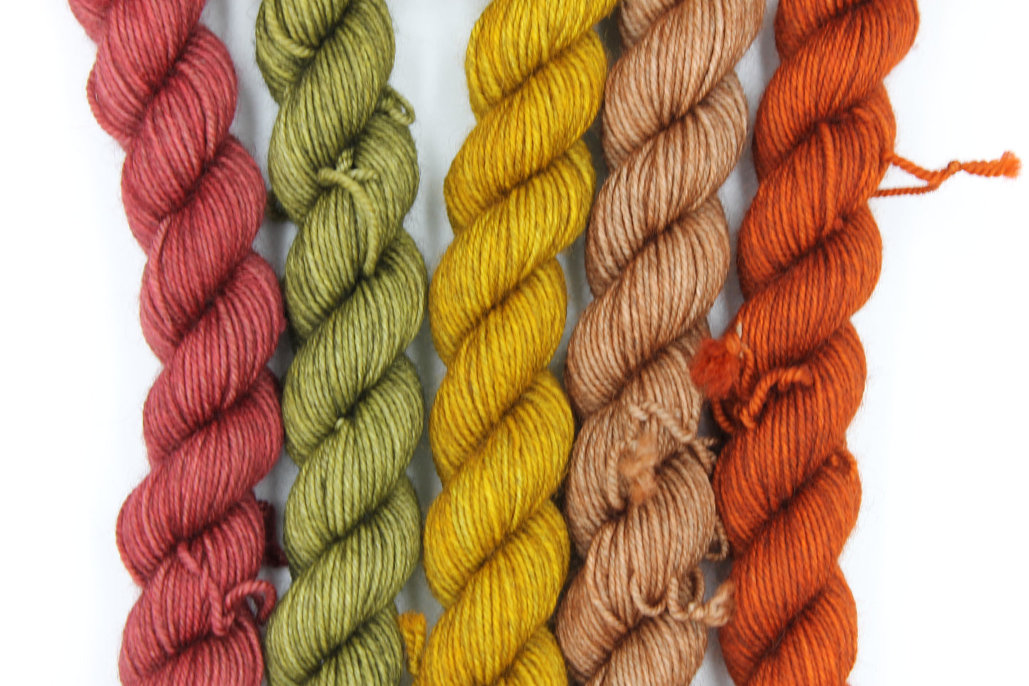 Harvest Hues Mini Skein Set Sock 70% Superwash Merino 20% Yak 10% Nylon 5 x 20g