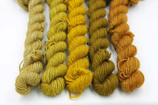 Shades - Mustard Mini Skein Set Sock 70% Superwash Merino 20 Yak 10 Nylon 5 x 20g