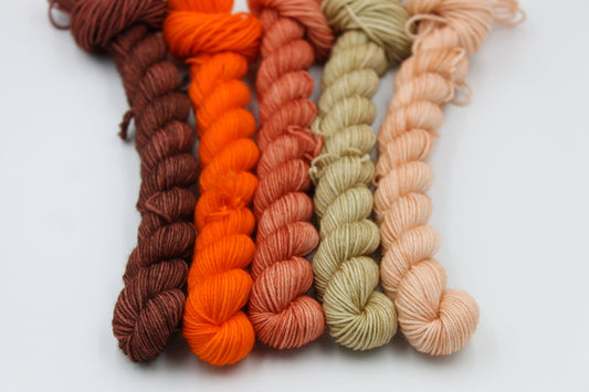Shades Nutmeg Sock 75% SuperWash  Merino and 25 Nylon 5x20g