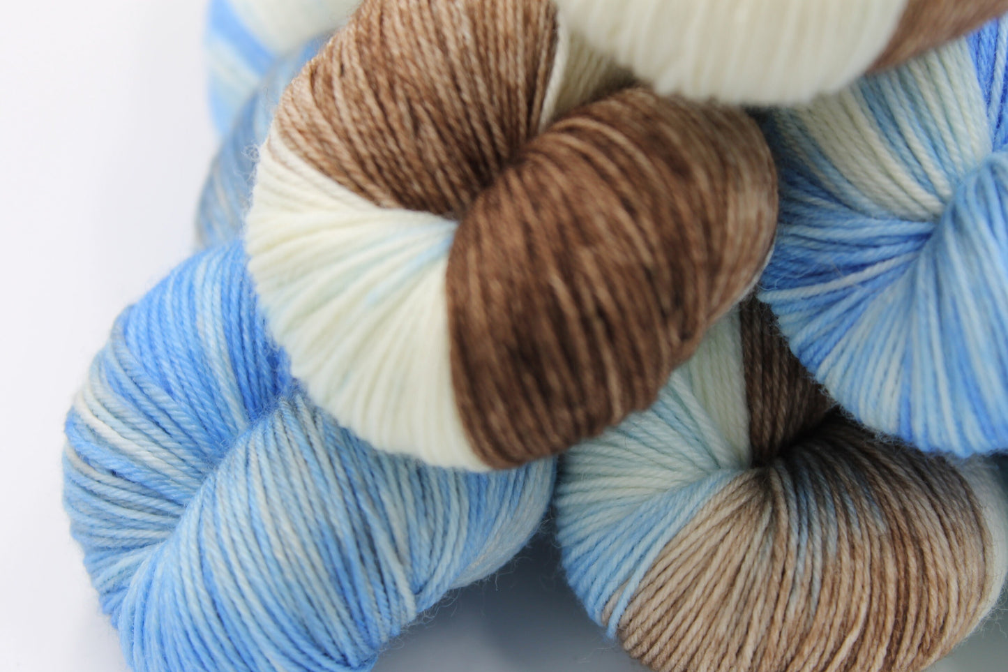 Peter Rabbit  Sock Skein 75% SuperWash Merino and 25 Nylon Hand Dyed Yarn 100g