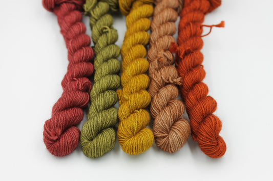 Harvest Hues Mini Skein Set Sock 70% Superwash Merino 20% Yak 10% Nylon 5 x 20g