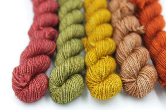 Harvest Hues Mini Skein Set Sock 70% Superwash Merino 20% Yak 10% Nylon 5 x 20g