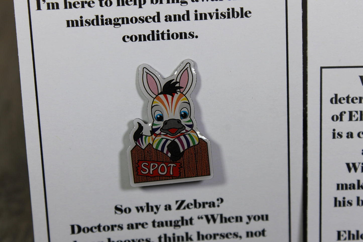 Spot The Rainbow Zebra 25mm x 17mm Full Colour Enamel Pin with Metal Butterfly Clutch Fixing.