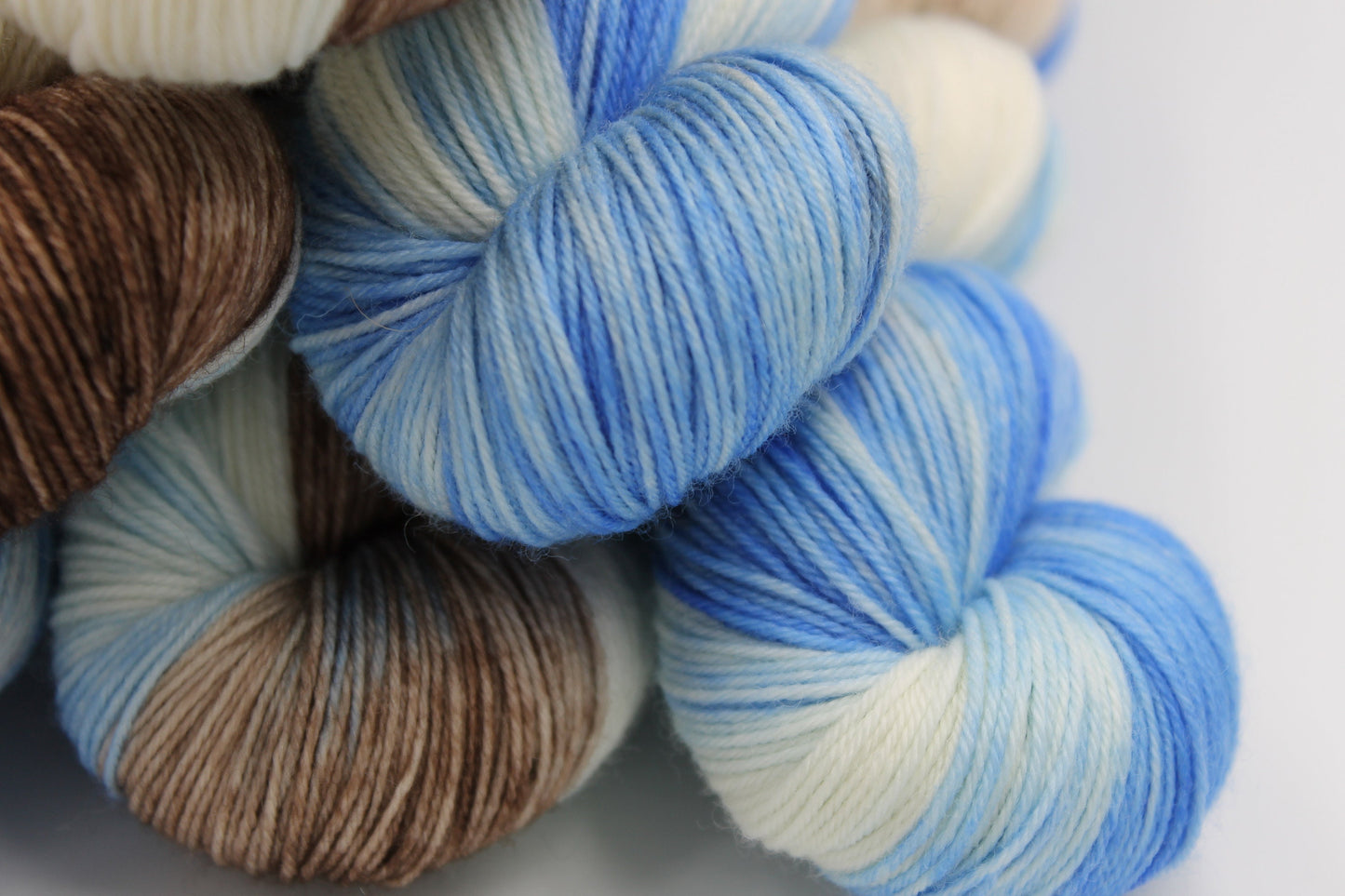 Peter Rabbit  Sock Skein 75% SuperWash Merino and 25 Nylon Hand Dyed Yarn 100g