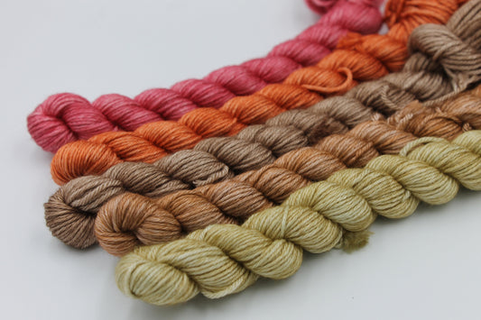 Silken Spice Sock 50% SuperWash  Merino and 50 Silk .5x20g