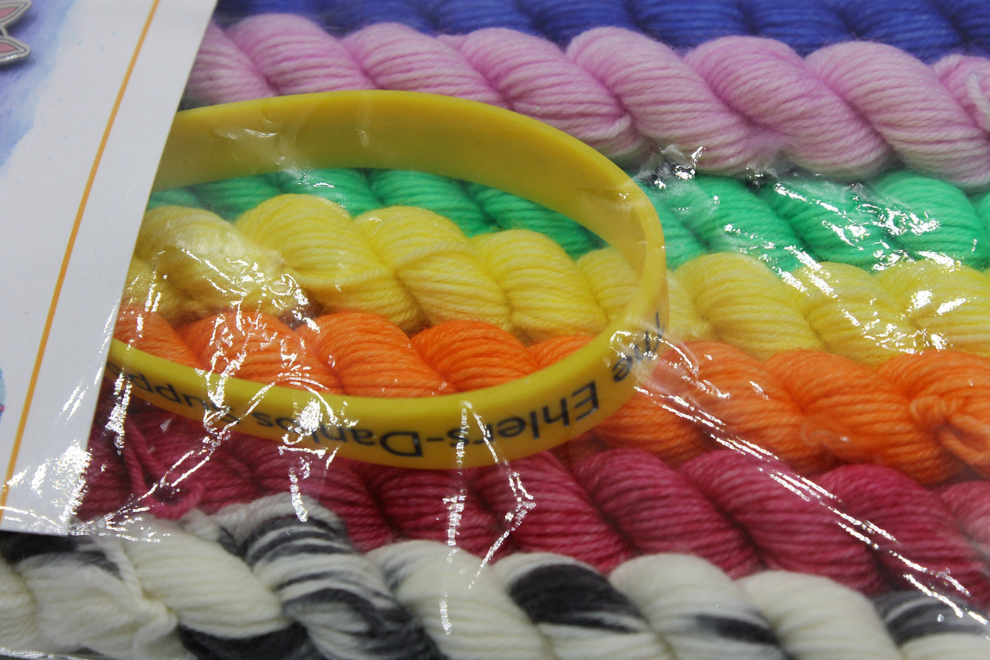 Rainbow Zebra Micro Skein Gift Set Sock 75% SuperWash  Merino and 25 Nylon  10 x 10g with Spot The Zebra pin and EDS band